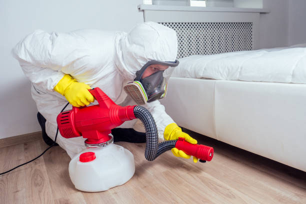 Best Indoor Pest Control  in Gorevle, IL